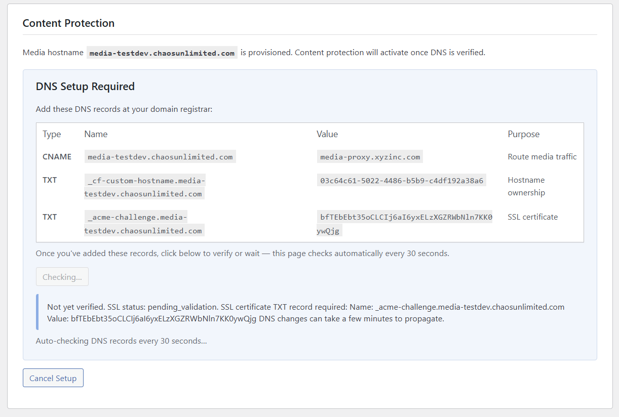 DNS checking with partial verification — SSL pending