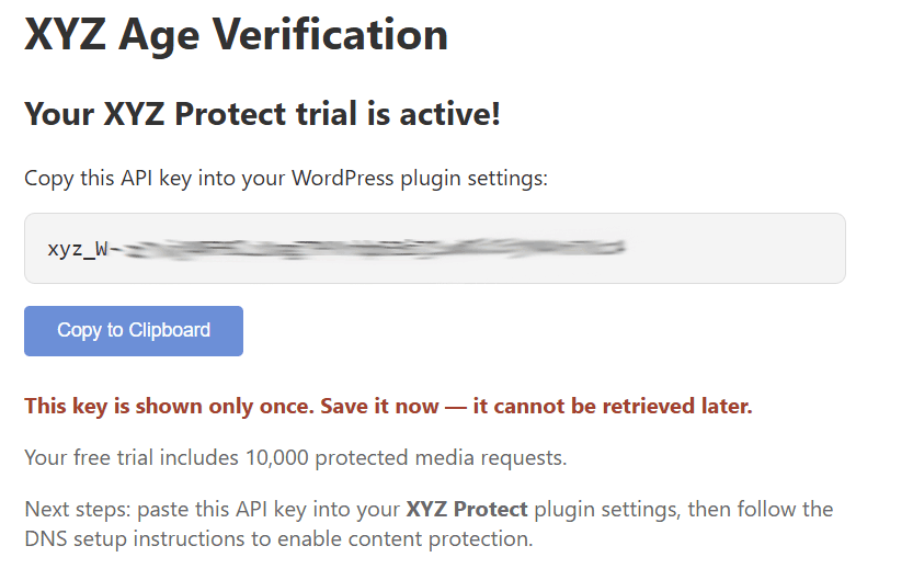 API key display page with copy button and warning