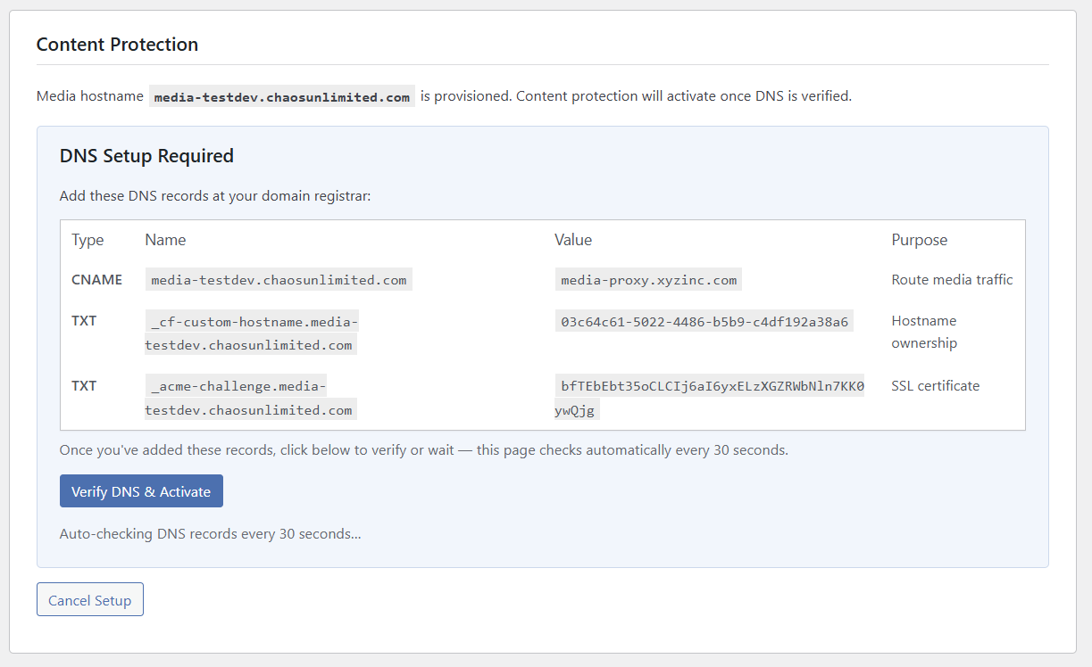 DNS Setup Required showing CNAME and two TXT records with purposes